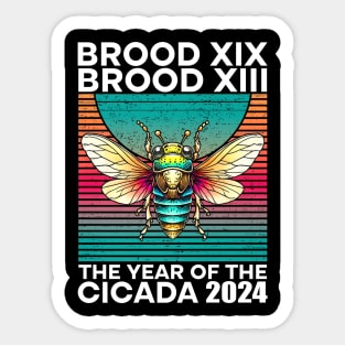 Entomology Cicada Lover 2024 Cicada Swarm Summer Scream Sticker